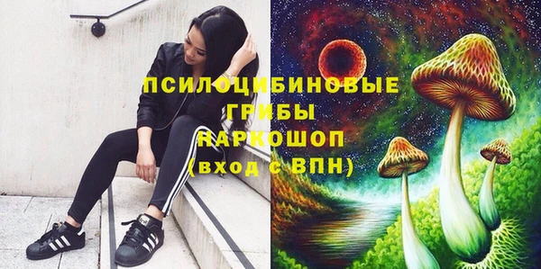 ECSTASY Инта