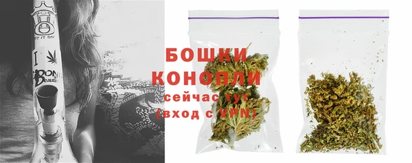 ПСИЛОЦИБИНОВЫЕ ГРИБЫ Зеленодольск