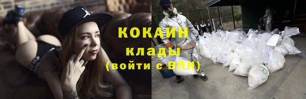 дживик Зерноград
