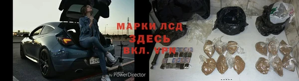 ПСИЛОЦИБИНОВЫЕ ГРИБЫ Зеленодольск