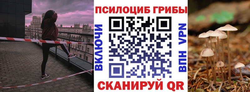 Псилоцибиновые грибы прущие грибы  как найти наркотики  Нурлат 