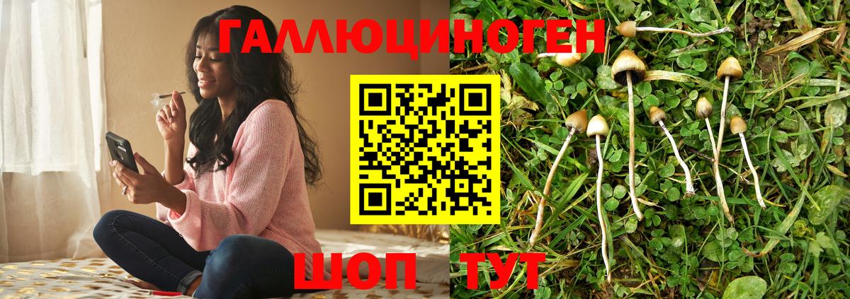 Псилоцибиновые грибы Magic Shrooms Нурлат
